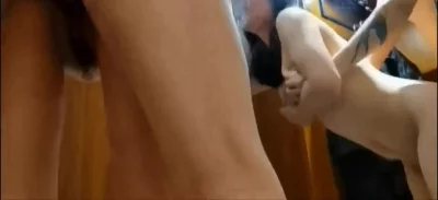 后入爆草绿帽人妻